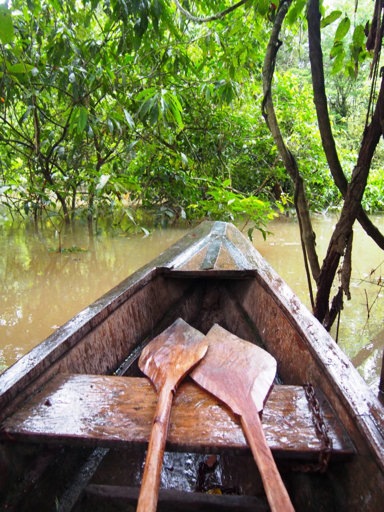 Lasy deszczowe, Amazonia, Peru